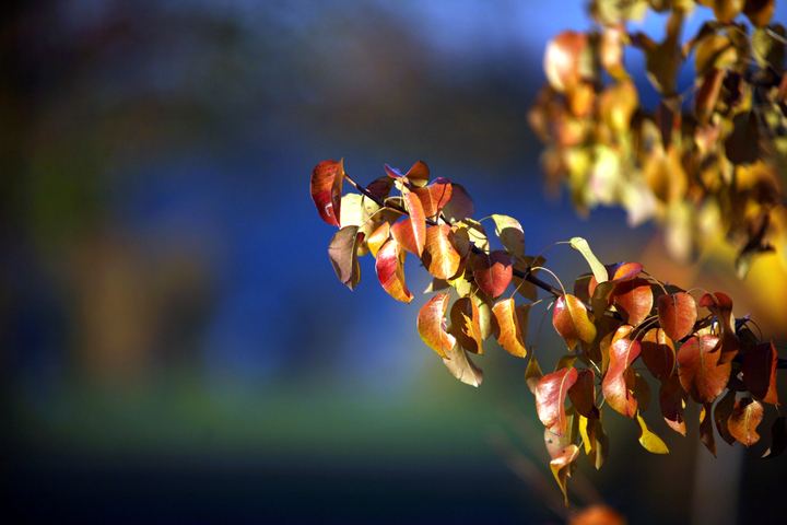 spis.php?category_id=343