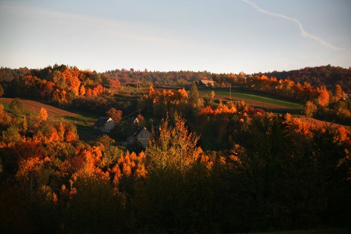 spis.php?category_id=343