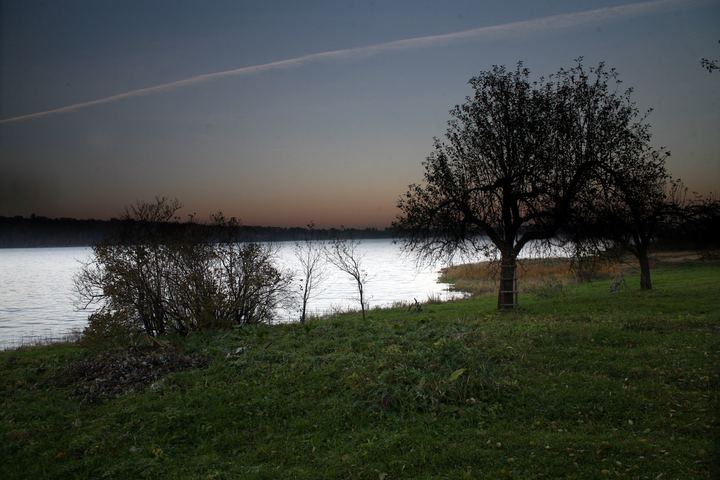 spis.php?category_id=343