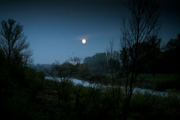 spis.php?category_id=343