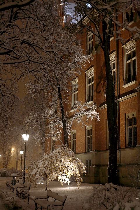 spis.php?category_id=354