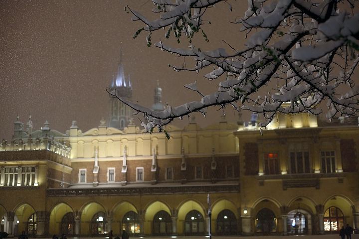 spis.php?category_id=354