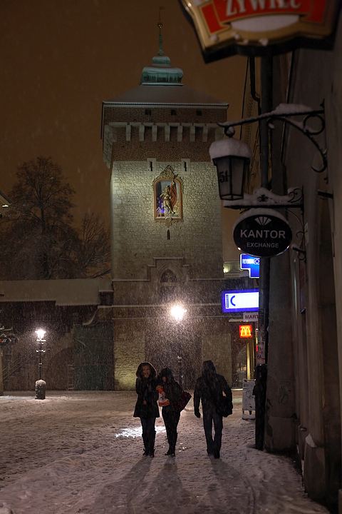 spis.php?category_id=355