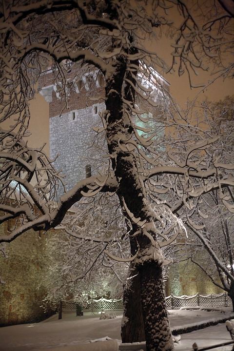 spis.php?category_id=355