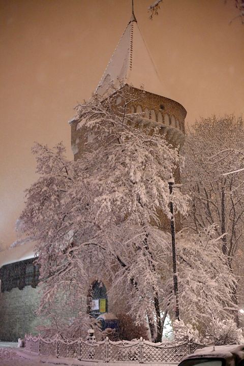 spis.php?category_id=355