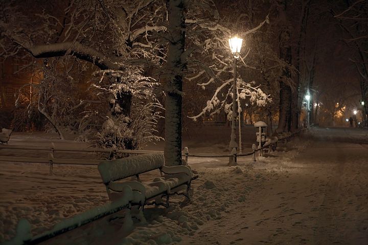 spis.php?category_id=355