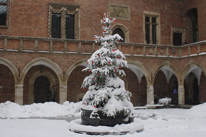 spis.php?category_id=356