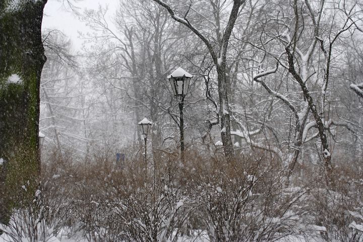 spis.php?category_id=356