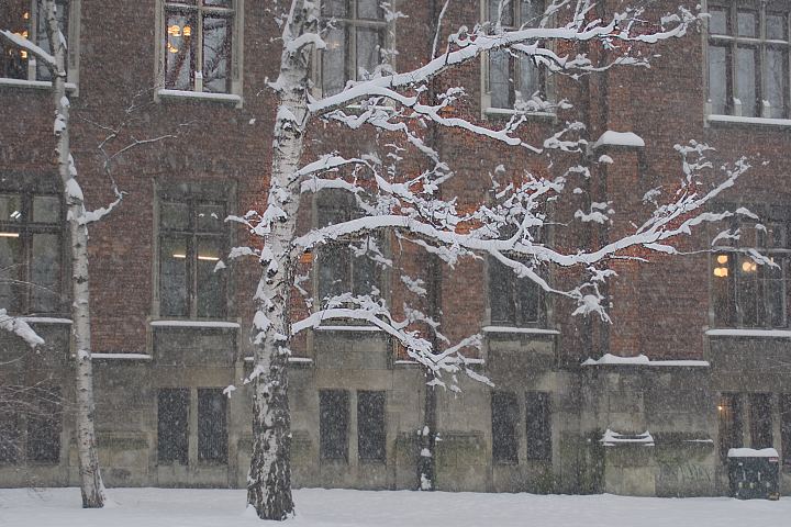 spis.php?category_id=356