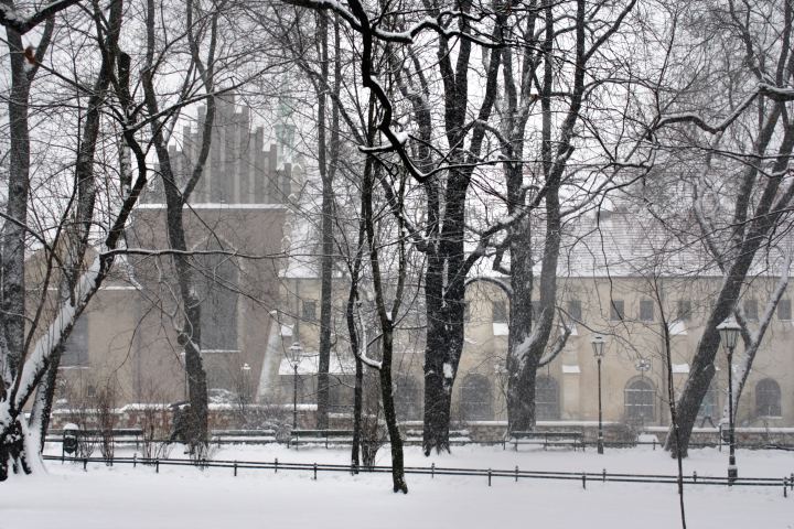 spis.php?category_id=356