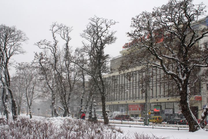 spis.php?category_id=356