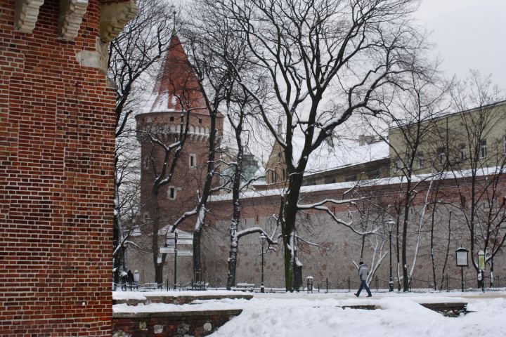 spis.php?category_id=356