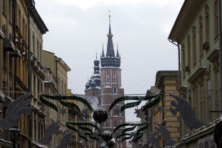 spis.php?category_id=356