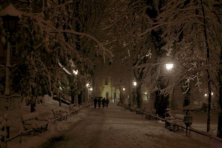 spis.php?category_id=357