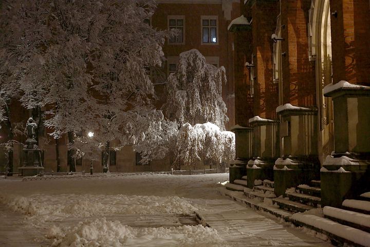 spis.php?category_id=357