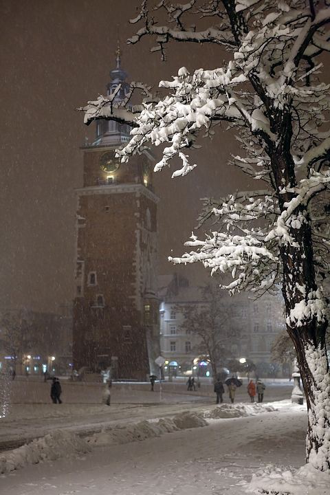 spis.php?category_id=357