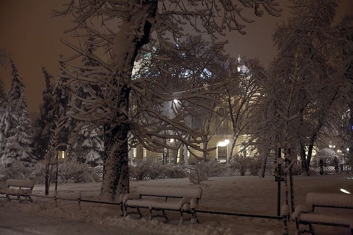 spis.php?category_id=357