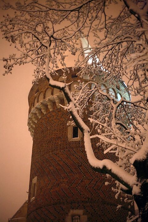 spis.php?category_id=357