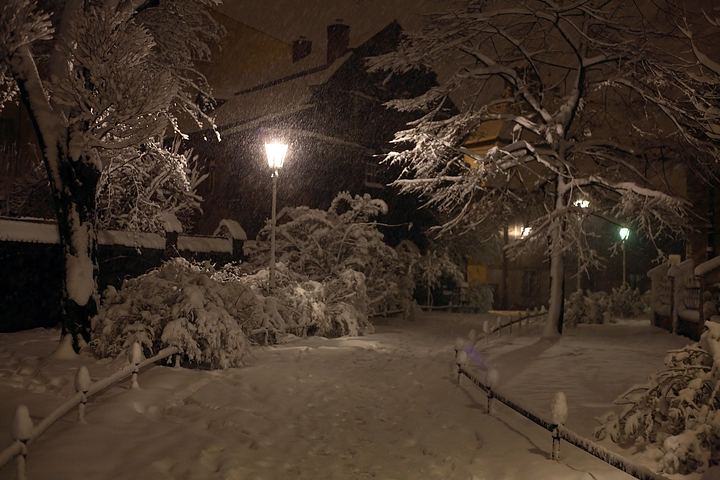 spis.php?category_id=357