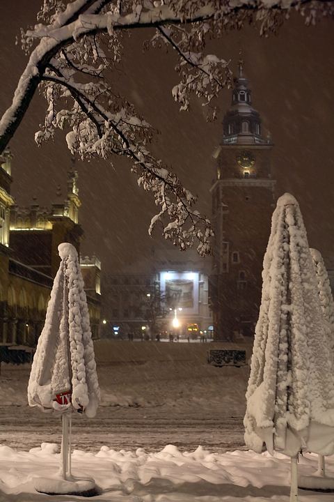 spis.php?category_id=358