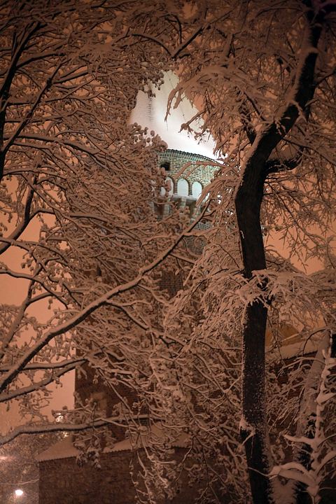 spis.php?category_id=358