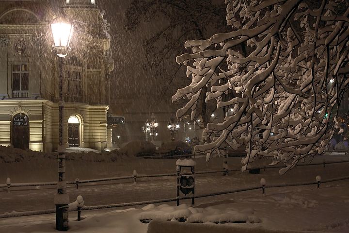 spis.php?category_id=358