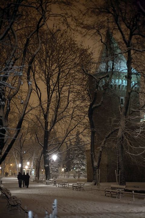 spis.php?category_id=359