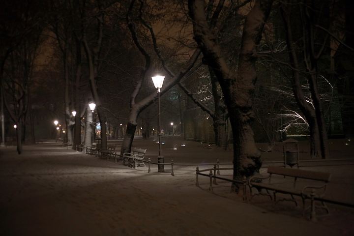 spis.php?category_id=359