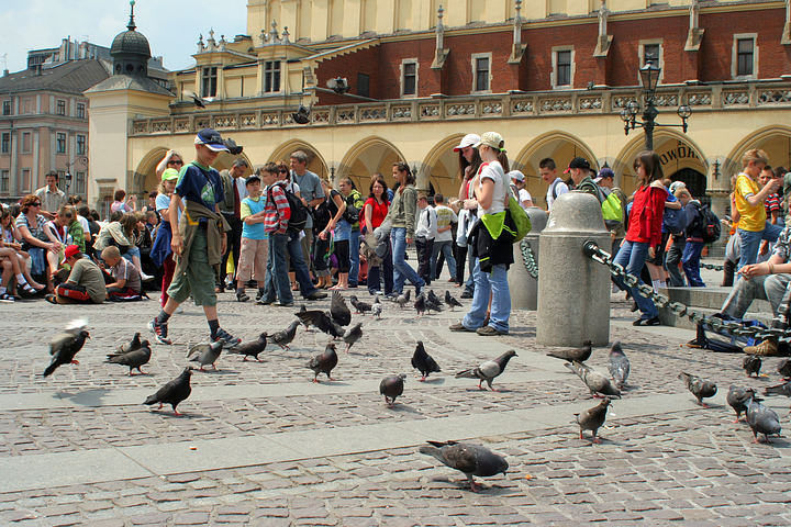 spis.php?category_id=368