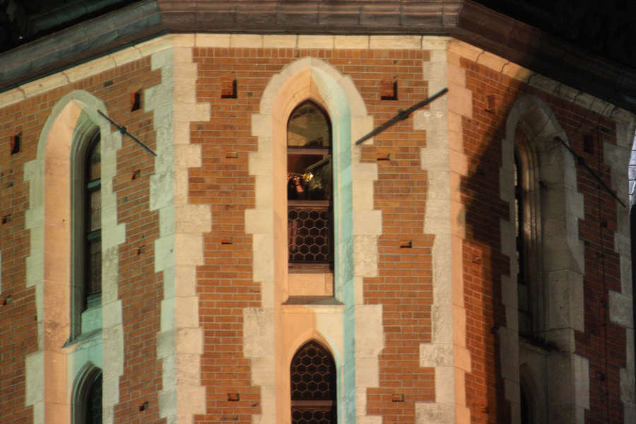 spis.php?category_id=388