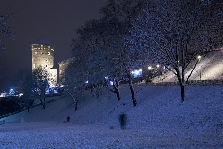 spis.php?category_id=375