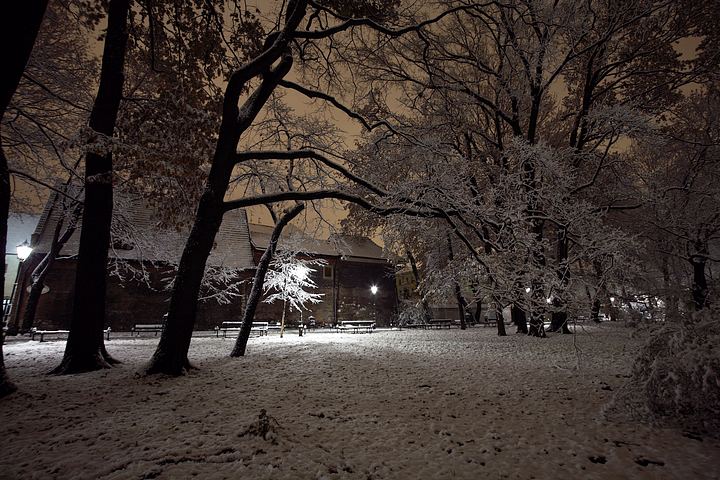 spis.php?category_id=375