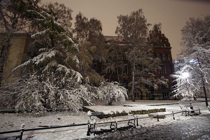 spis.php?category_id=375