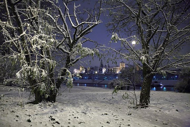 spis.php?category_id=376