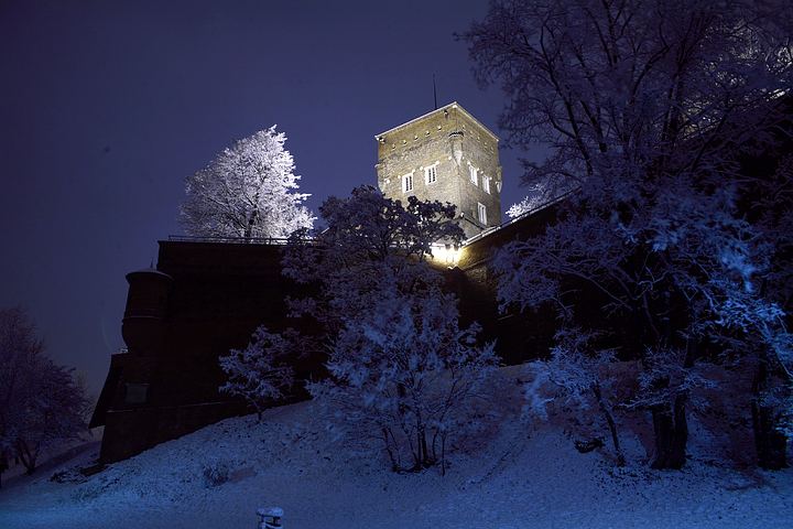 spis.php?category_id=376