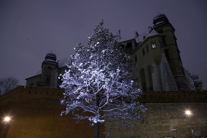 spis.php?category_id=376