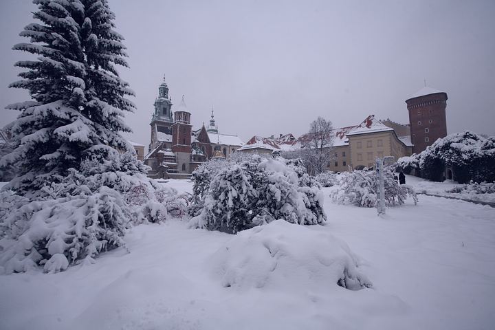 spis.php?category_id=377