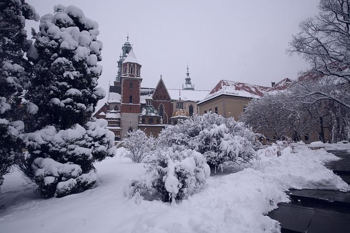 spis.php?category_id=377