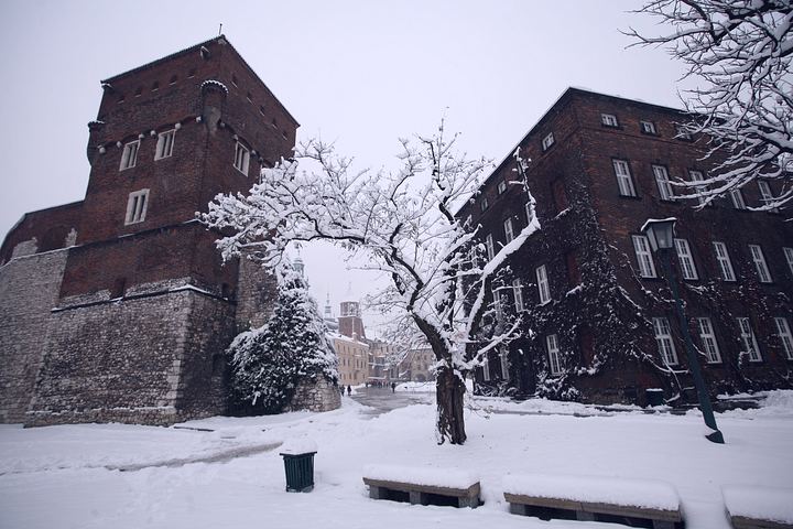 spis.php?category_id=377