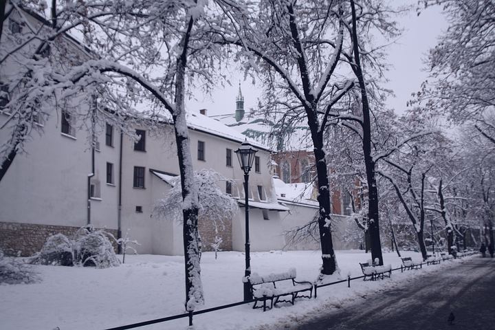 spis.php?category_id=377