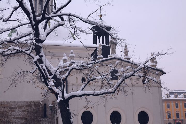 spis.php?category_id=377