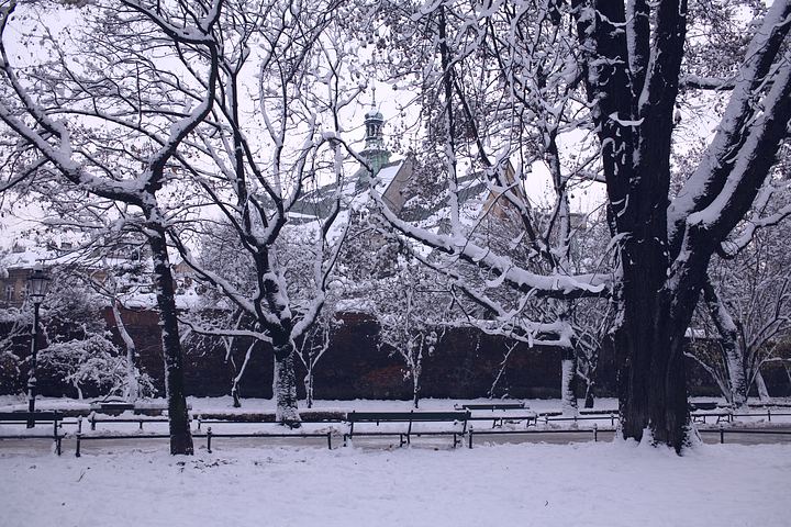 spis.php?category_id=377