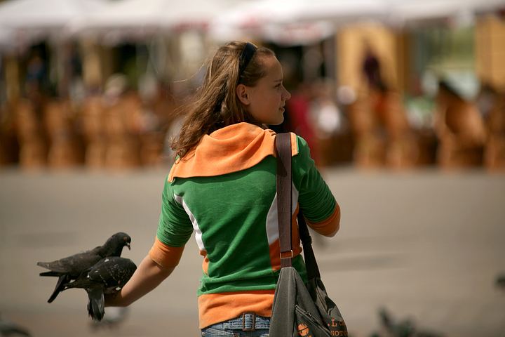 spis.php?category_id=379