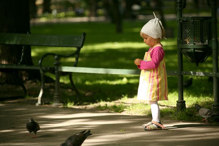 spis.php?category_id=379