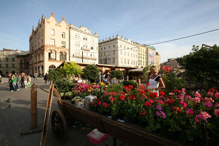 spis.php?category_id=379