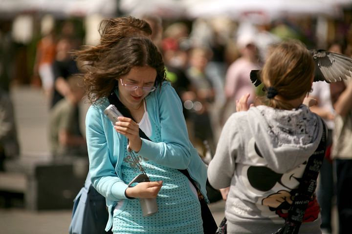 spis.php?category_id=379