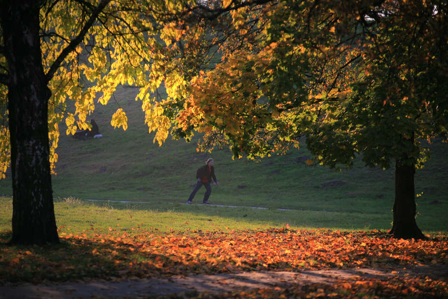 spis.php?category_id=390