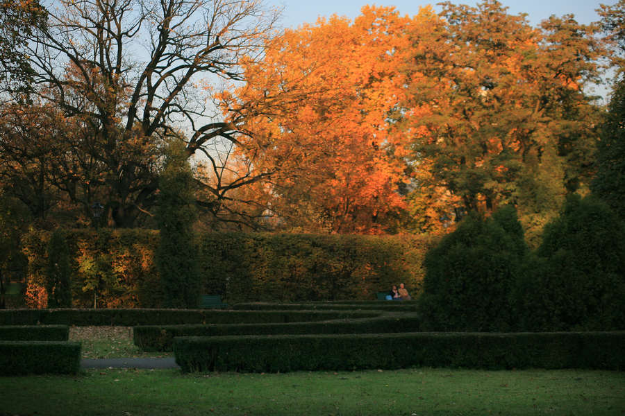 spis.php?category_id=390