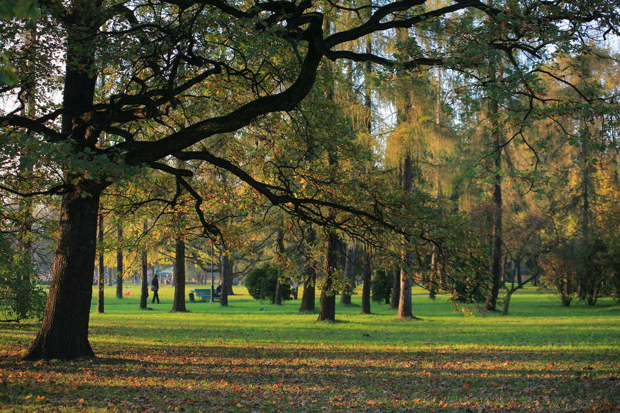 spis.php?category_id=390