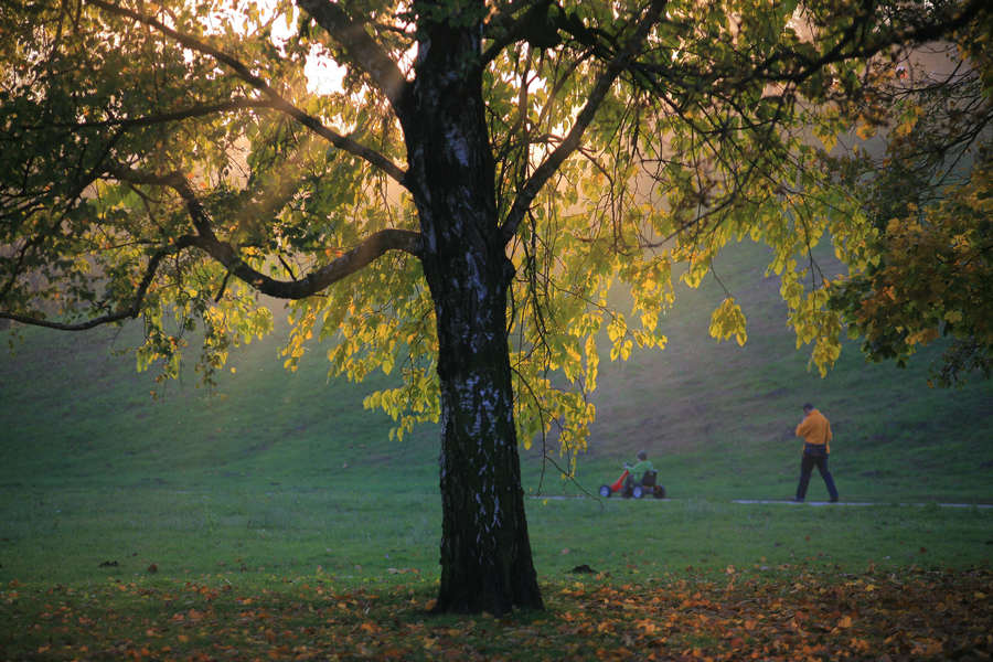 spis.php?category_id=390